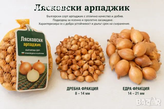Арпаджик Лясковски