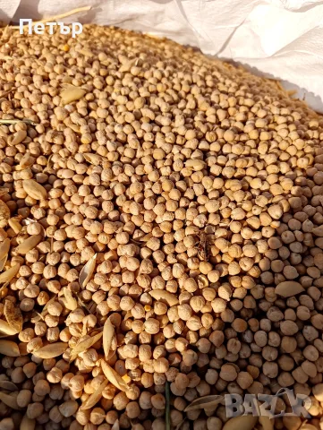 продавам нахут. . , снимка 2 - Други - 55890919