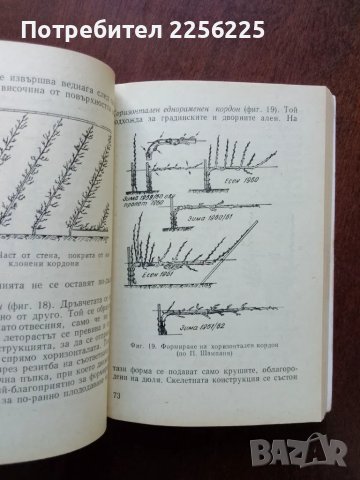 Круша, снимка 5 - Специализирана литература - 50427193