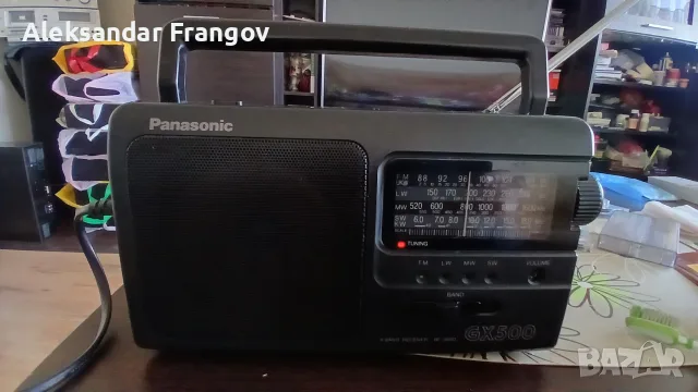 Panasonic  GX 500