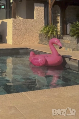 Плувайте с комфорт и стил с нашите надуваеми шезлонги-Фламинго, Еднорог или Лебед