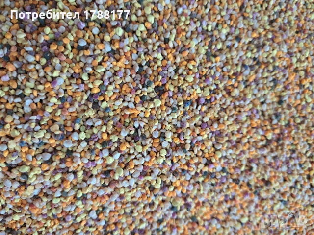 Пчелен прашец , снимка 5 - Пчелни продукти - 51317272