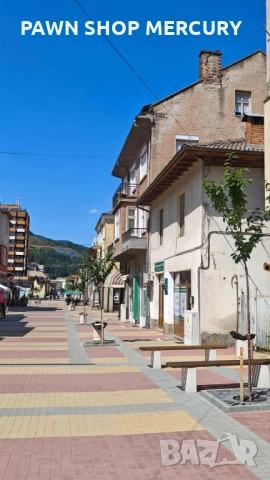 Продавам къща в град Чепеларе , снимка 3 - Къщи - 18355072