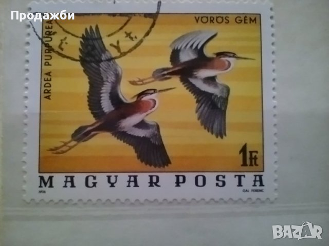 Красива колекция Унгарски пощенски марки с птици 1976 г., снимка 4 - Филателия - 44673128