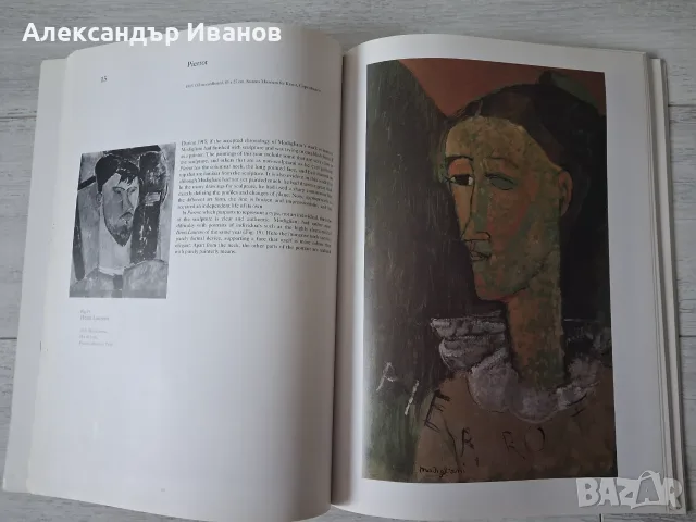 Стари албуми с картини, снимка 3 - Картини - 56159997