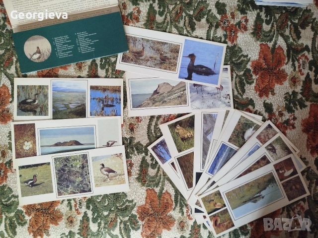 картички със птици и календар с картички, снимка 5 - Филателия - 53738458