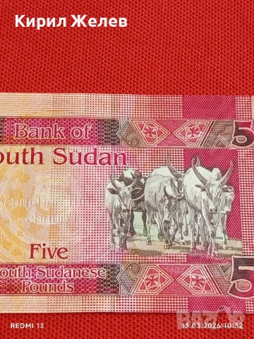 Банкнота ЮЖЕН СУДАН много красива перфектно състояние непрегъвана за КОЛЕКЦИЯ ДЕКОРАЦИЯ 54047, снимка 6 - Нумизматика и бонистика - 53822813