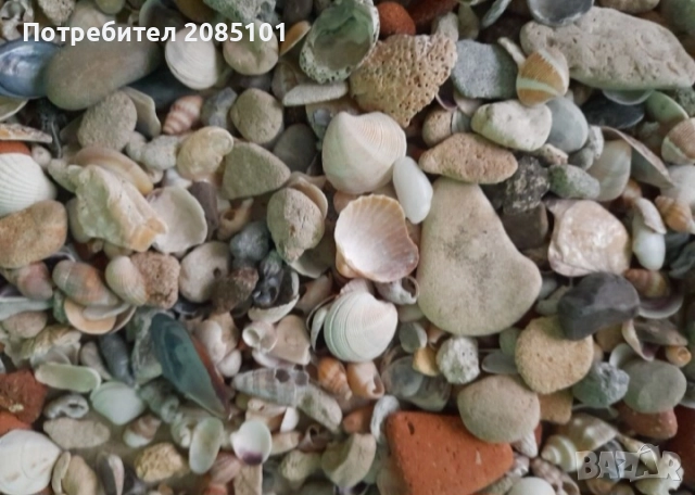 Морски мидички и камъчета, снимка 7 - Други стоки за дома - 52146747