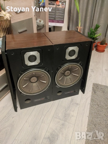 Колони Kenwood LS-1000, снимка 2 - Тонколони - 52966156