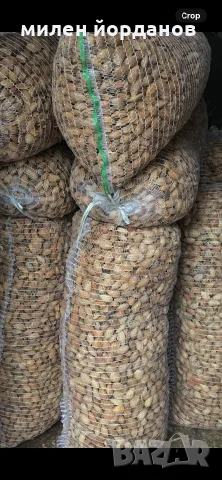 Продавам бадеми и орехи, снимка 6 - Други - 56357097