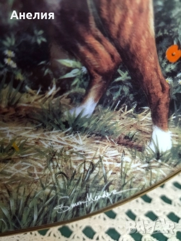 Колекционерски чинии Боксер, снимка 6 - Декорация за дома - 51883321