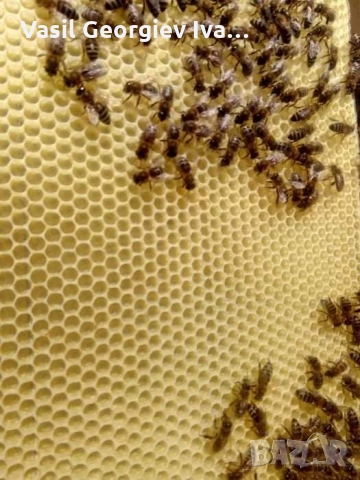 Тежки основи ДБ - 94гр  