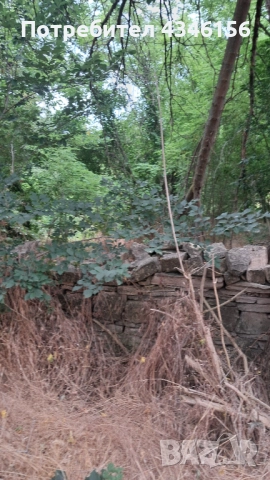 Дворно място, снимка 2 - Парцели - 52008527