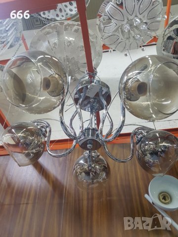 Полилей, снимка 3 - Полилеи - 41988544