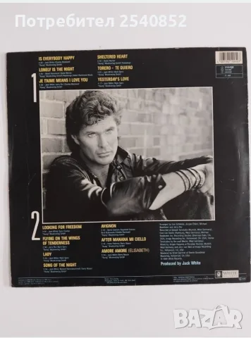 Касети и Vinil наDavid Hasselhoff , снимка 6 - Аудио касети - 56132633
