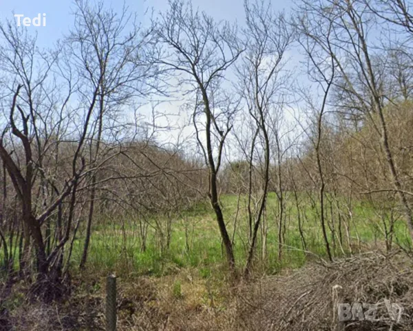 Продавам парцел в село Зидарци 