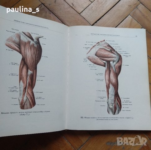 Атлас по анатомия на опорно-двигателния апарат на Синельников, снимка 4 - Специализирана литература - 42266262