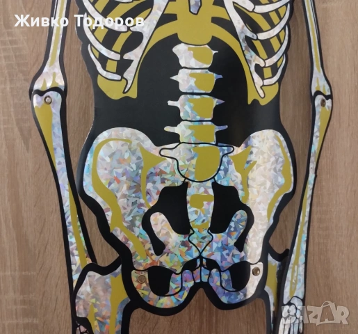 Забавен плакат/винил,Скелет (Холографски ефект 1,5 м.) Книгоразделител - Sugar Skulls, снимка 17 - Картини - 48804444