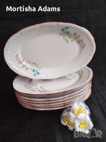 Чинии- елипси