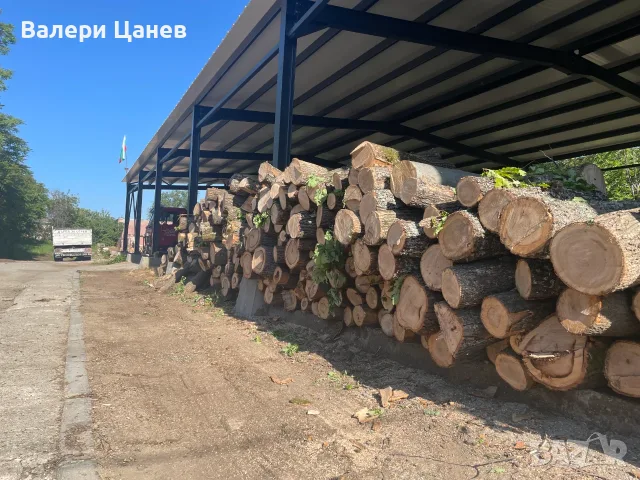 ДЪРВА за Огрев - завод Явор, снимка 5 - Дърва за огрев - 28480252