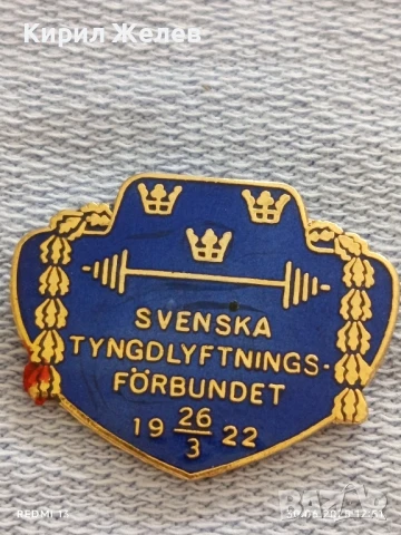 Рядка значка с емайл на ШВЕДСКАТА АСОЦИАЦИЯ по ВДИГАНЕ НА ТЕЖЕСТИ 29392, снимка 2 - Колекции - 50847208