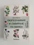 Разпознаване и събиране на билки, снимка 1