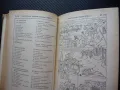 Немско-руски речник в картинки рядък Bild-Worterbuch език учене езици лесно, снимка 2