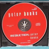 Peter Banks(Yes)(Jazz-Rock,Prog Rock)-3CD, снимка 3 - CD дискове - 44480385