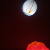 Фенерче - протектор , снимка 7 - Образователни игри - 44797341