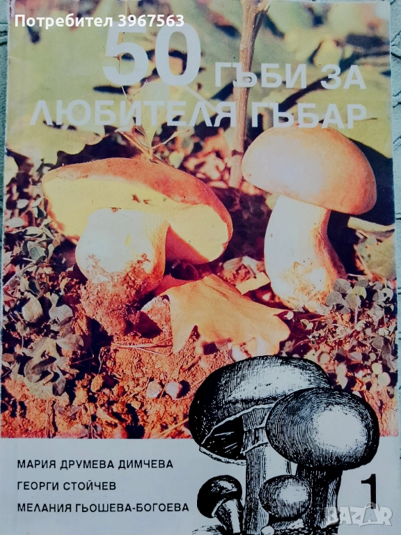 Книга ,,50 гъби на любителя гъбар,,, снимка 1