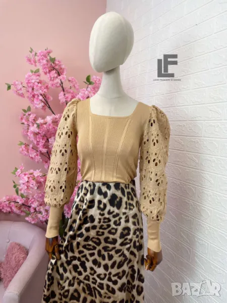 Сатенена Пола , снимка 1