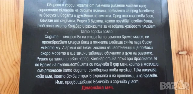 Риганте. Книга 1: Меч в бурята - Дейвид Гемел, снимка 4 - Художествена литература - 51017590