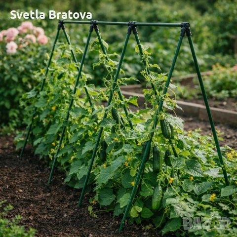 Градинска рамка тип пергола - издръжлива и устойчива - 4 броя, снимка 5 - Градински мебели, декорация  - 53813489