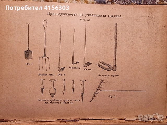 Пеперуди + Наставления за уредбата и гледането на училищните градини. 1896. , снимка 12 - Градински цветя и растения - 53784348