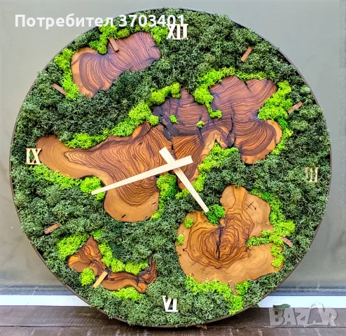 Часовник от маслина и скандинавски мъх 