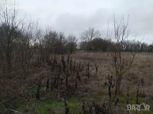 Парцел село Близнаци, снимка 2 - Земеделска земя - 48744517