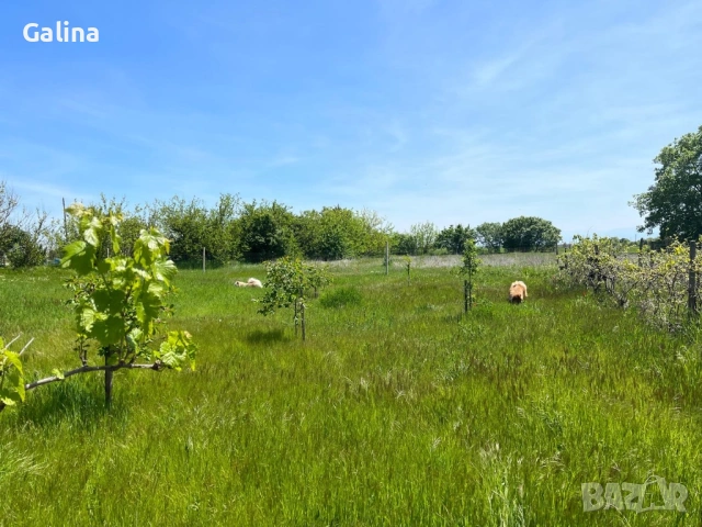 Продава къща в кв. Точиларци на гр. Съединение, снимка 7 - Къщи - 52123689