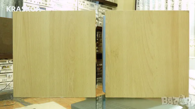 DENON SC-G101, снимка 5 - Тонколони - 48042493