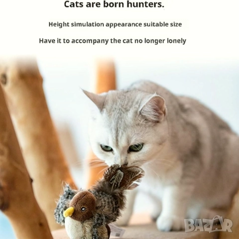 Любимата играчка на котките! Чуруликаща и мърдаща птица + котешка трева (catnip), снимка 9 - За котки - 52230351