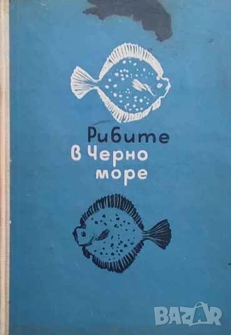 Рибите в Черно море Българското крайбрежие
