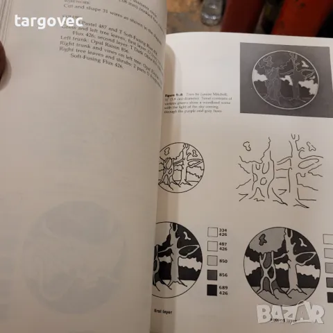 Книга учебник за емайлиране , снимка 4 - Специализирана литература - 48824116