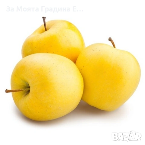 Плодни дръвчета - Микс обява , снимка 3 - Градински цветя и растения - 53618283