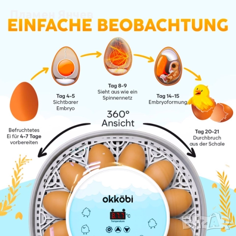 M12 напълно автоматичен инкубатор с контрол на температурата и влажността – прозрачен 360° капак, снимка 3 - За птици - 52827805