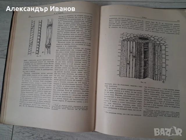 Стара книга К.Тимирязев "Жизнь растения" 1949 г. , снимка 4 - Специализирана литература - 55855821