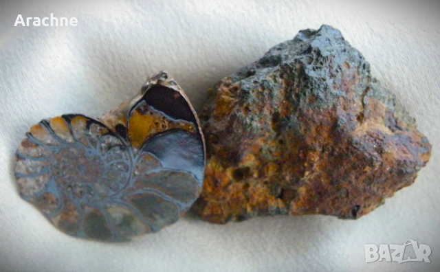 Метеорит и амонит от Мароко, снимка 4 - Колекции - 51857138