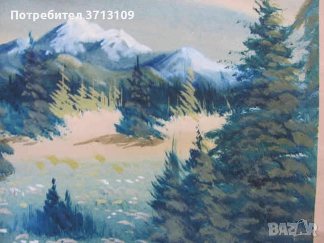 Картина смесена техника, Иван Ботушаров , подпис 40х30 см., снимка 6 - Картини - 51521969