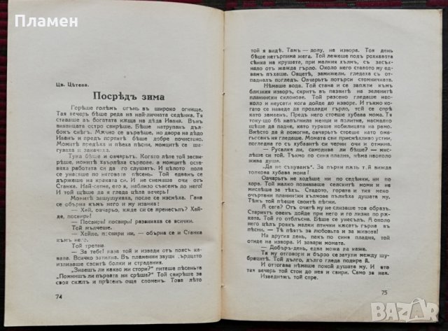 Литературенъ сборникъ. Наши писателки, снимка 8 - Антикварни и старинни предмети - 34816219