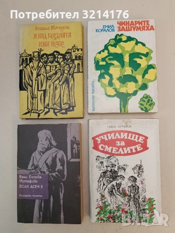 Училище за смелите - Емил Коралов