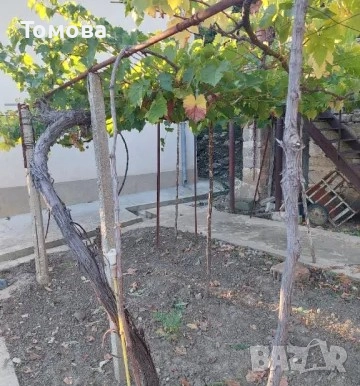 Продавам прекрасна двуетажна къща с двор в село Горна Бешовица,община Мездра, снимка 5 - Къщи - 52152004