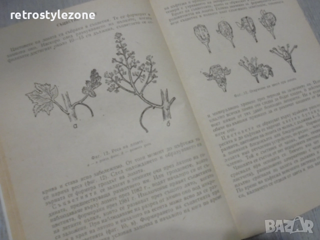№ 8416 стара книга "Практическо ръководство по лозарство"  автор - Митко Ников , снимка 3 - Специализирана литература - 52921400